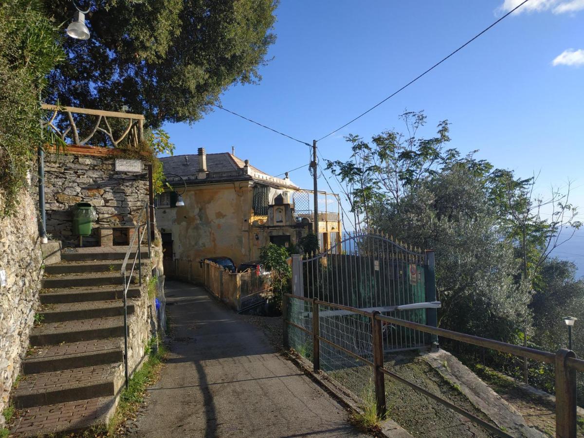 Appartement Casaviva - Ampio Trilocale Vista Mare Con Piscina - Pieve Alta à Pieve Ligure Extérieur photo